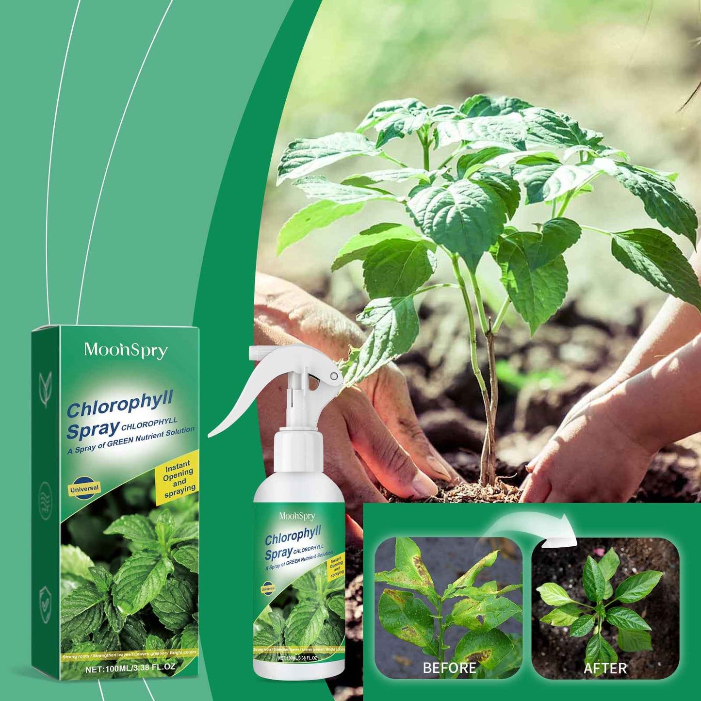 Green Plants And Leaves Healthy Growth Nutrient Solution