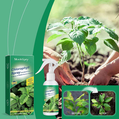 Green Plants And Leaves Healthy Growth Nutrient Solution