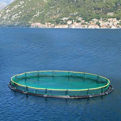 13 X 33ft Garden Netting Heavy Duty PE Anti Bird Netting Plants Fruits Tree Vegetables Protection Netting Net