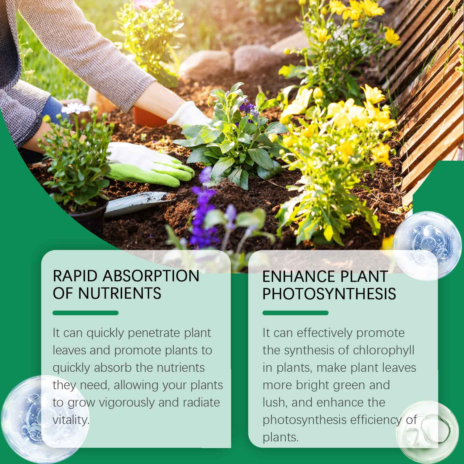 Green Plants And Leaves Healthy Growth Nutrient Solution