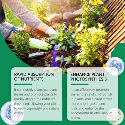 Green Plants And Leaves Healthy Growth Nutrient Solution